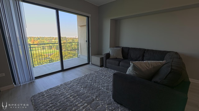 living room with hardwood / wood-style flooring