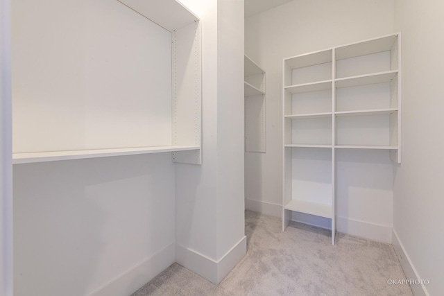 spacious closet featuring light colored carpet