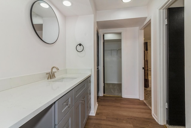 bathroom with wood-type flooring and vanity