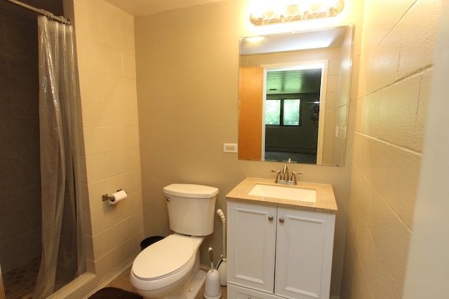 bathroom featuring toilet, vanity, and walk in shower