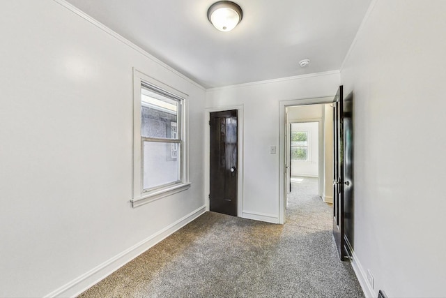 spare room with carpet flooring and ornamental molding