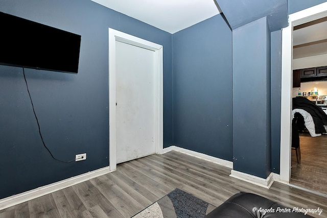 interior space with wood-type flooring