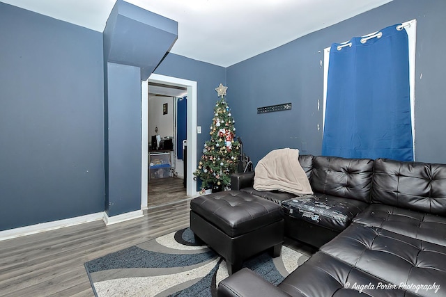 living room featuring hardwood / wood-style flooring