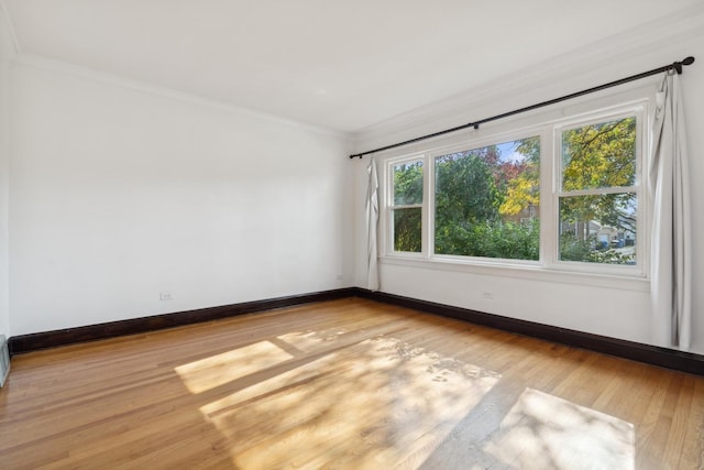 spare room featuring a healthy amount of sunlight, crown molding, and light hardwood / wood-style flooring