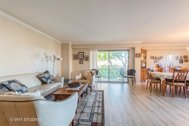 living room featuring crown molding and light hardwood / wood-style floors