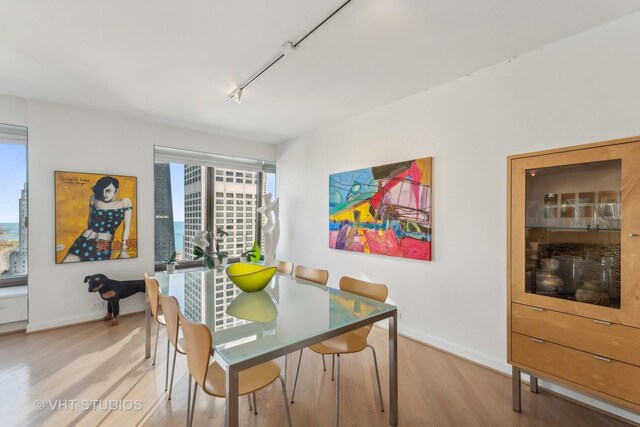 dining space with hardwood / wood-style floors and track lighting