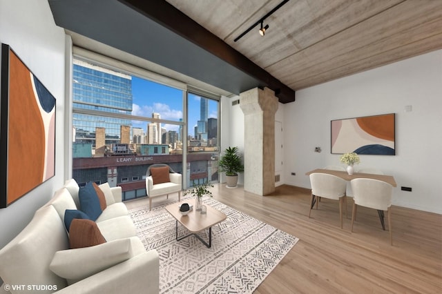 living room with rail lighting and light wood-type flooring