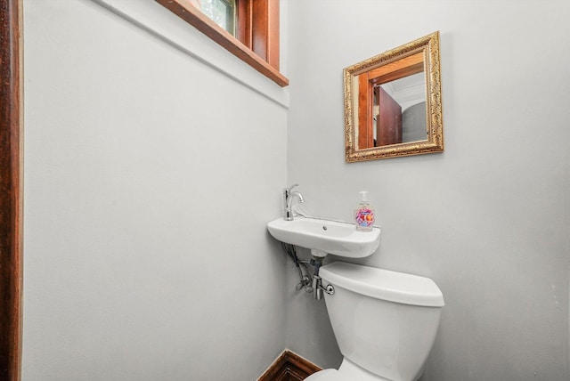 bathroom featuring sink and toilet