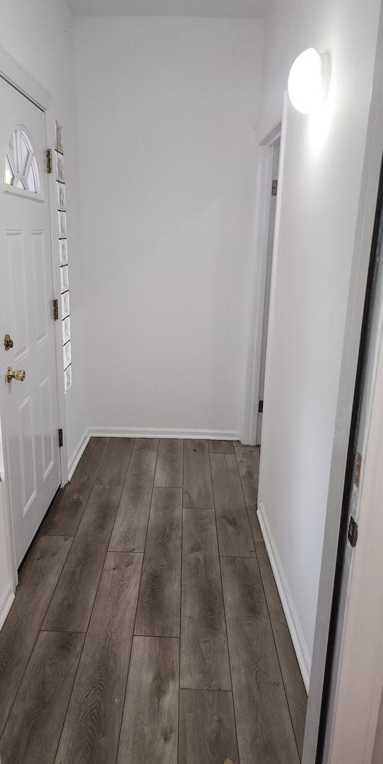 entrance foyer with dark wood-type flooring