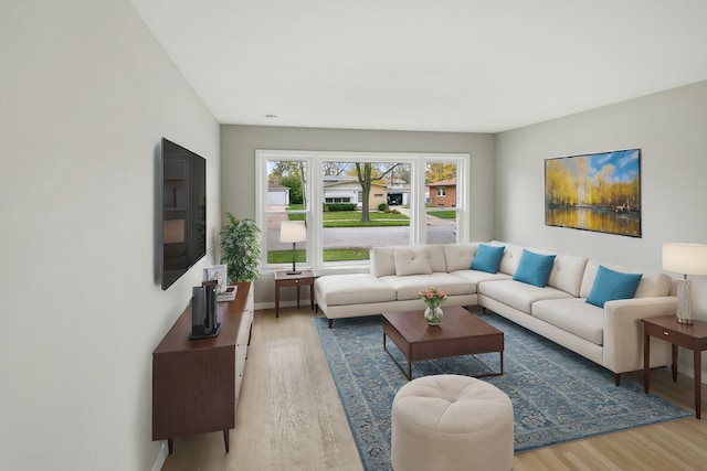 living room with hardwood / wood-style floors