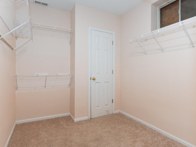 walk in closet with carpet flooring