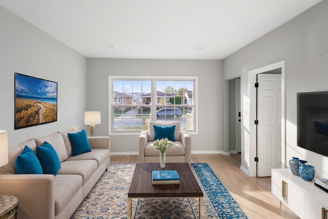 living room featuring light hardwood / wood-style flooring