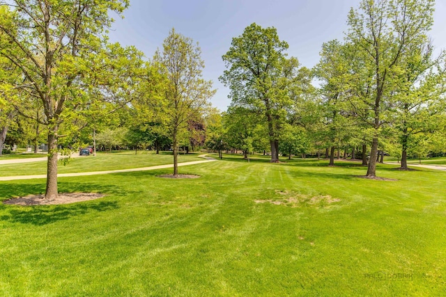 surrounding community featuring a lawn