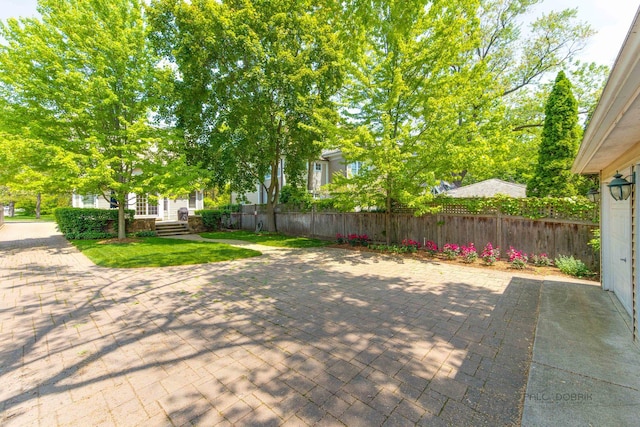 view of yard with a patio area