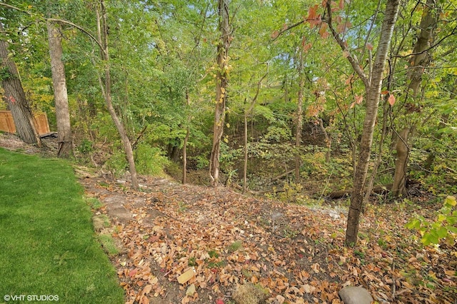 view of landscape