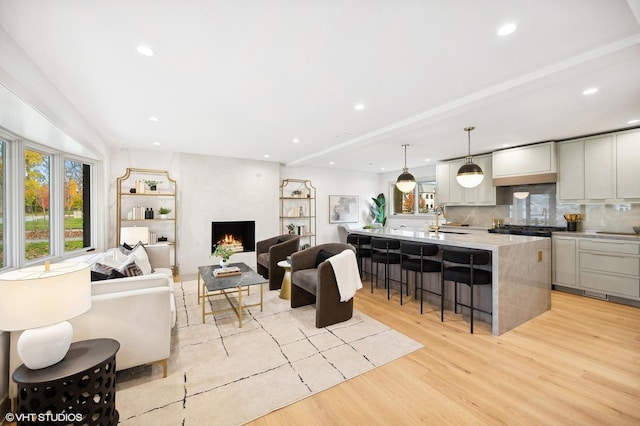 living room featuring a fireplace, light hardwood / wood-style flooring, and sink