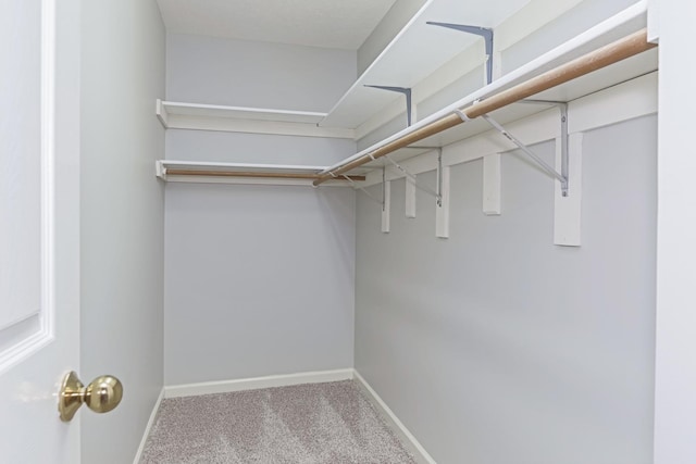 spacious closet with light carpet