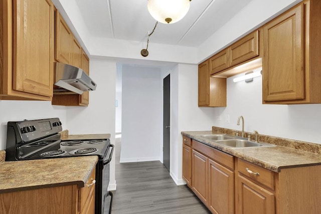 kitchen with hardwood / wood-style floors, sink, black / electric stove, and exhaust hood