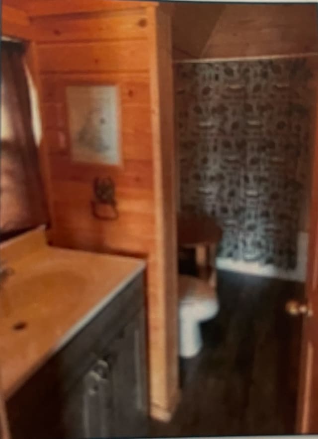 bathroom with wooden walls, vanity, and toilet