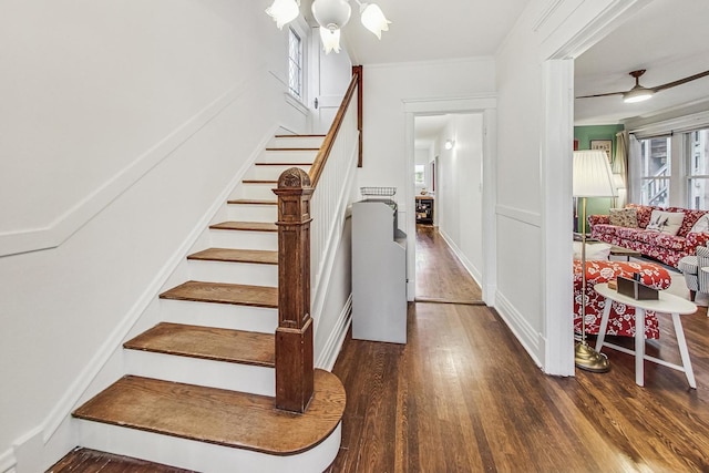 staircase featuring hardwood / wood-style floors, plenty of natural light, crown molding, and ceiling fan