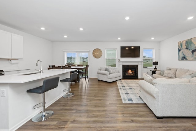 living room with sink and light hardwood / wood-style floors