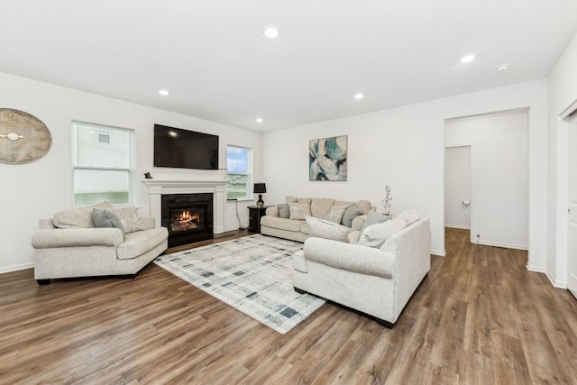 living room with hardwood / wood-style floors