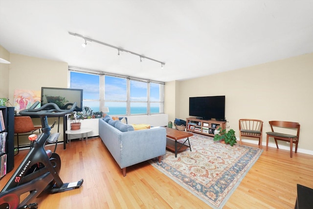 living room featuring hardwood / wood-style floors and track lighting