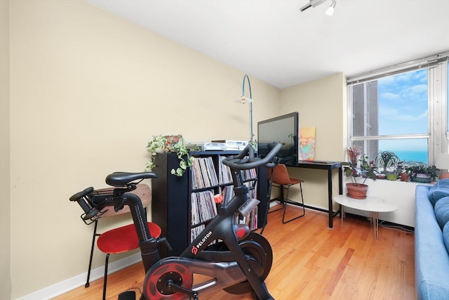 exercise area featuring wood-type flooring