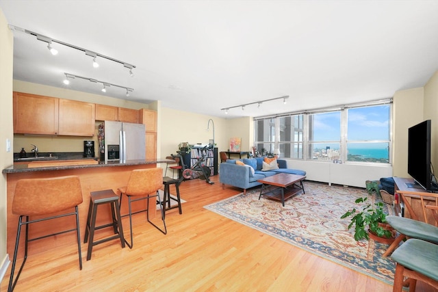 living room with light hardwood / wood-style floors and sink