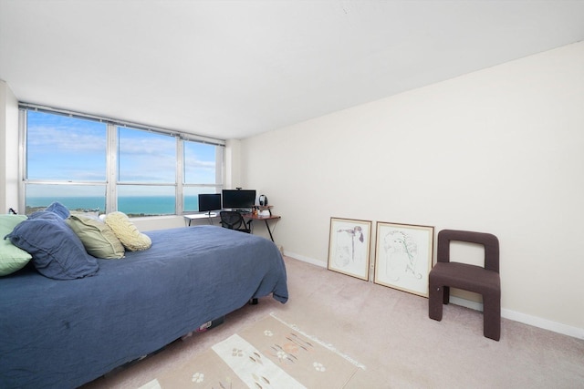 bedroom with light colored carpet