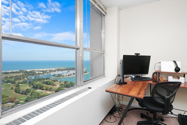 office area with radiator and plenty of natural light