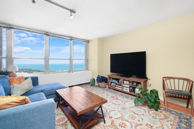 living room with rail lighting and light hardwood / wood-style floors