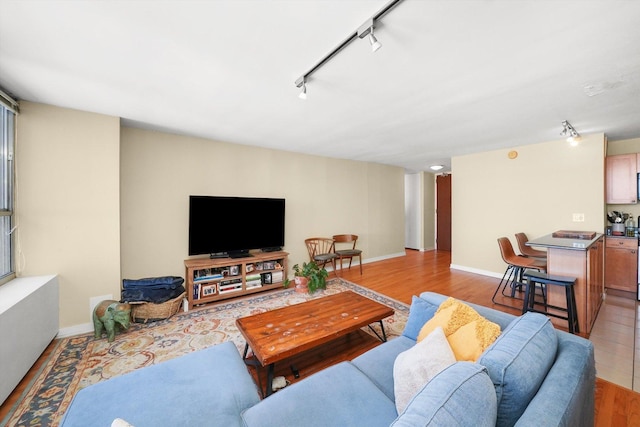 living room with rail lighting and light hardwood / wood-style flooring