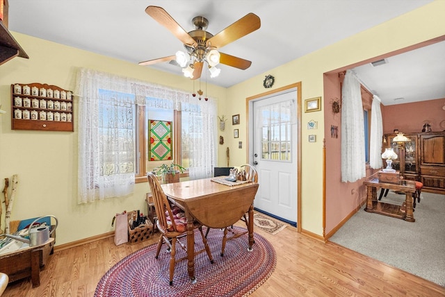 dining area with light hardwood / wood-style floors and ceiling fan