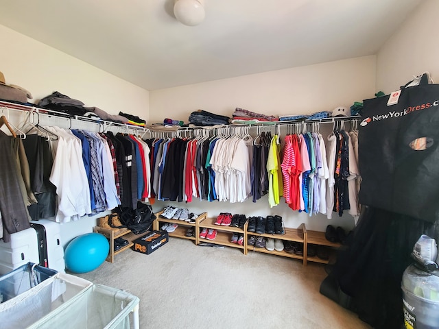 walk in closet featuring carpet flooring