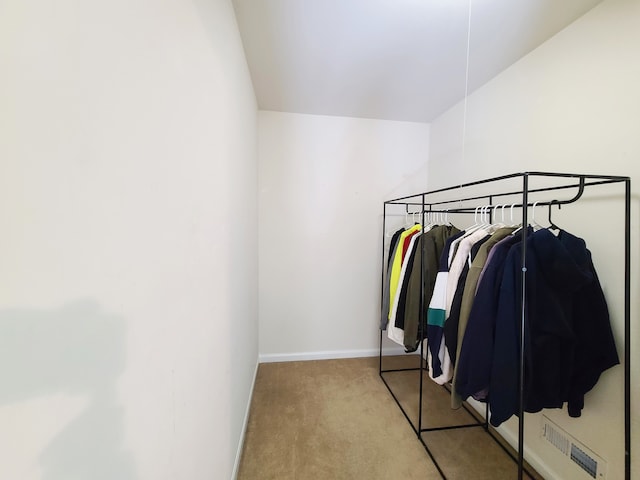 spacious closet with light carpet