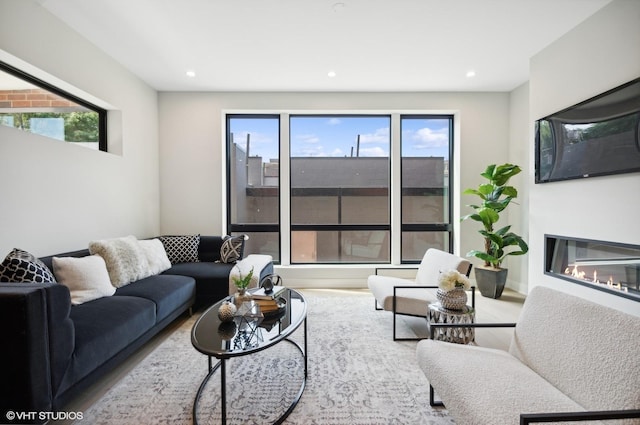 living room featuring hardwood / wood-style floors