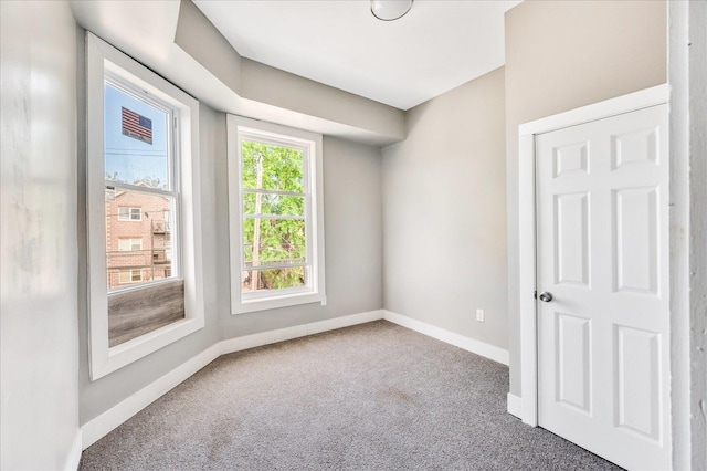 spare room featuring carpet floors