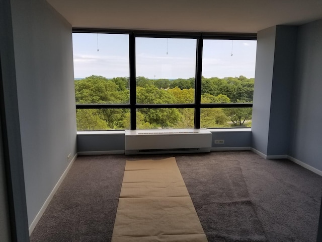 unfurnished sunroom featuring a wealth of natural light