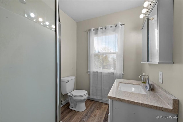 bathroom featuring vanity, wood-type flooring, and toilet