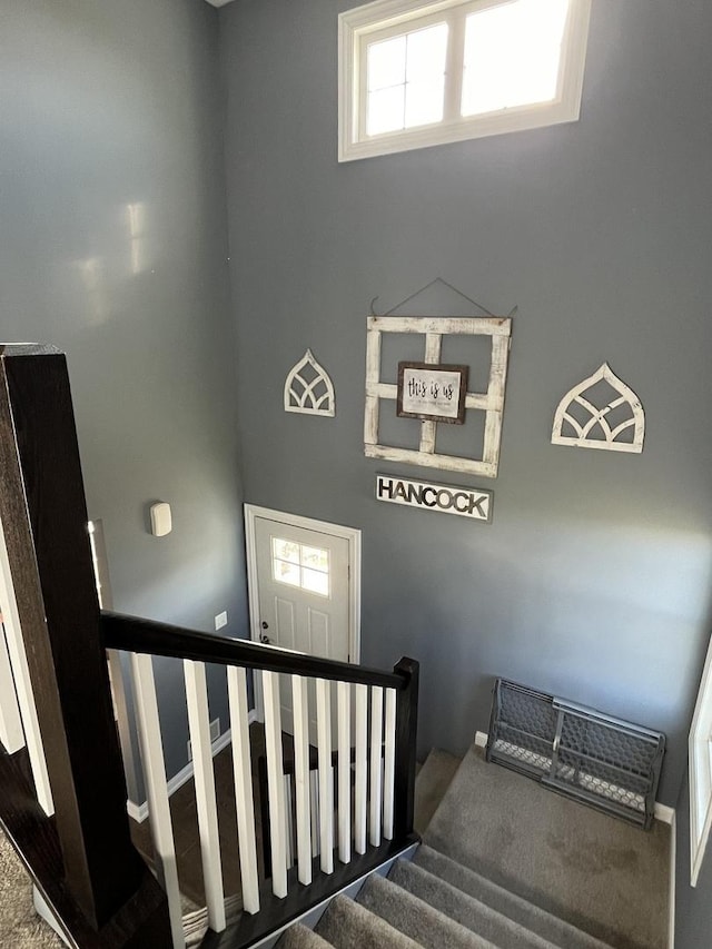 stairway with carpet floors