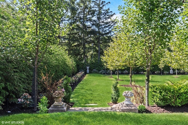 view of property's community featuring a lawn