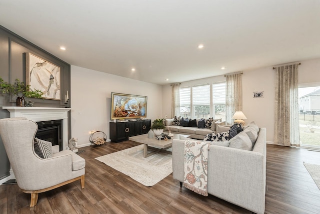 living room with dark wood-type flooring