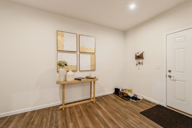 foyer featuring wood-type flooring