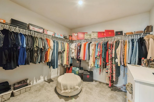 walk in closet featuring carpet