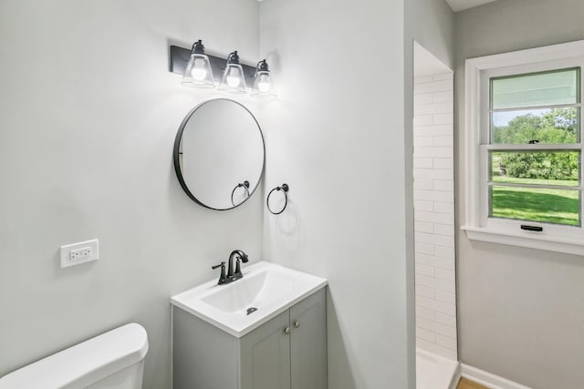 bathroom with vanity, toilet, and a shower