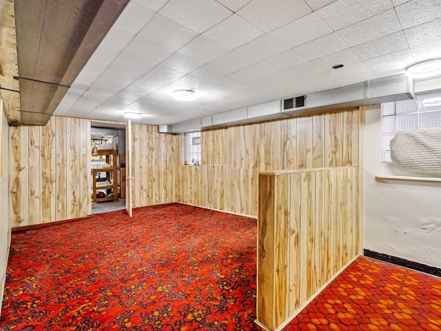 basement with wooden walls