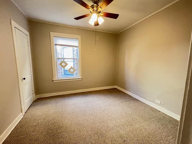 carpeted spare room with ceiling fan and ornamental molding