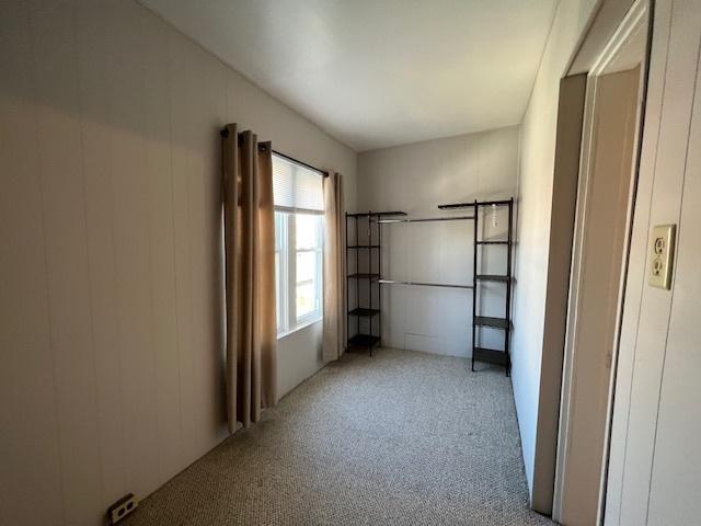 unfurnished bedroom with light colored carpet