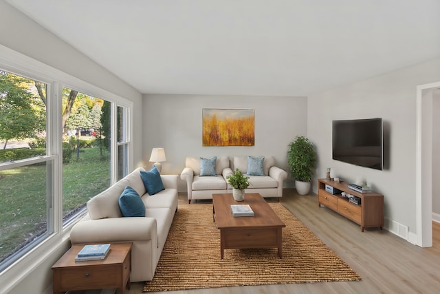 living room with light hardwood / wood-style flooring